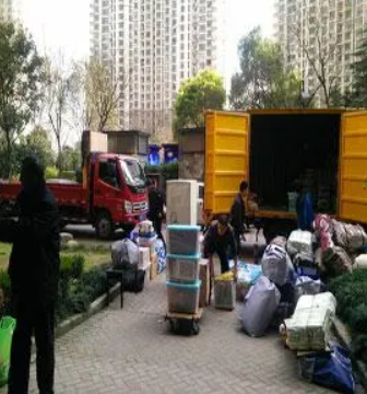 手机2号站登录, 手机2号站app,