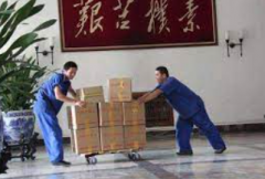 <b>深圳搬家公司2号站登陆之植物与搬家风水</b>