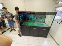 <b>2号站怎么注册深圳搬家水族箱要如何搬运？</b>