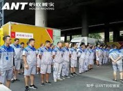 <b>2号站武汉搬家有哪些优势？</b>