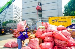 <b>2号站搬家时容易被忽略的问题有哪些</b>