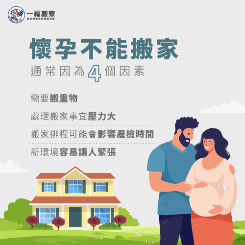 2号站手机登录, 2号站登录 ,