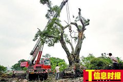 <b>2号站德国一老教堂准备搬家-</b>