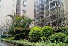 <b>2号站官网宝岗华庭宝龙苑搬家,柏涛雅苑布宜诺斯</b>