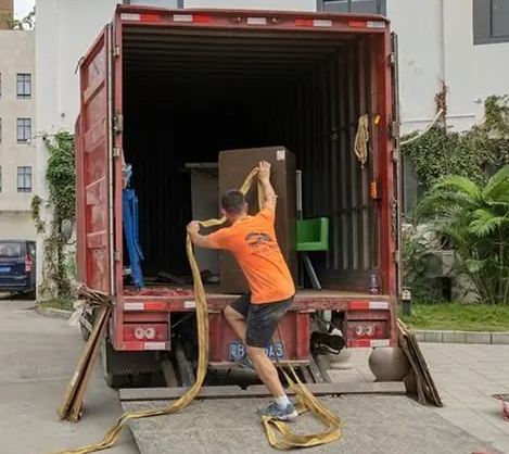 凤凰2号站的我, 二号站代理,