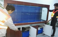 <b>2号站深圳搬家水族箱要如何搬运？</b>