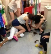 <b>2号站登陆两女贼在各大商场行窃如蚂蚁搬家-</b>