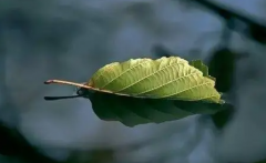 <b>2号站登陆帮德运提醒心烦时记住几句话</b>