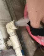 <b>2号站登陆细节点评水件坏了没法换</b>