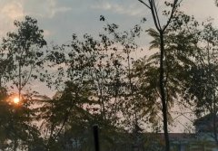 <b>2号站怎么注册被放空生意没做成，有苦难说-</b>