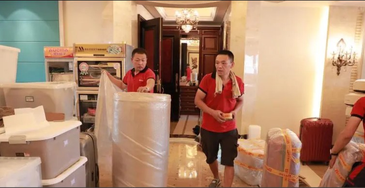 2号站手机登录, 2号站登录,